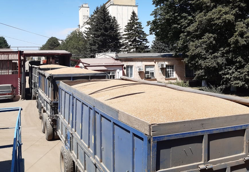 На элеваторах завершилась горячая пора приемки зерна