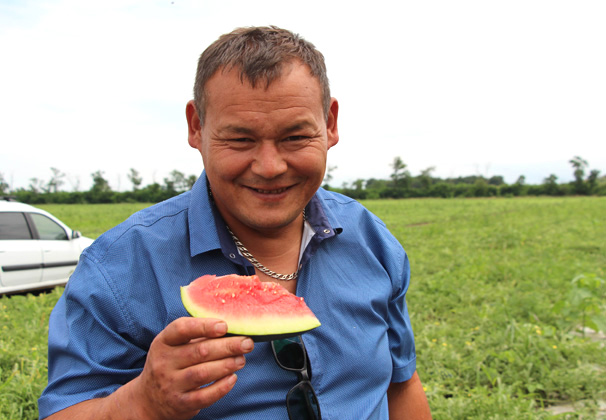 Усть-лабинские фермеры рассказали, как выращивают царь-ягоду
