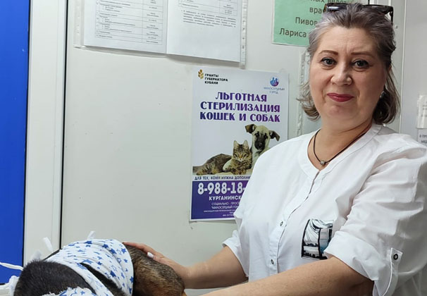 Усть-Лабинск стал участником грантового проекта по льготной стерилизации животных