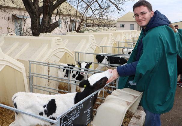 Студенты КубГАУ посетили молочно-товарную ферму «Прогресс Агро»