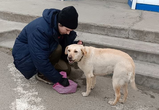 В Усть-Лабинске прошел второй этап специализированного отлова безнадзорных животных