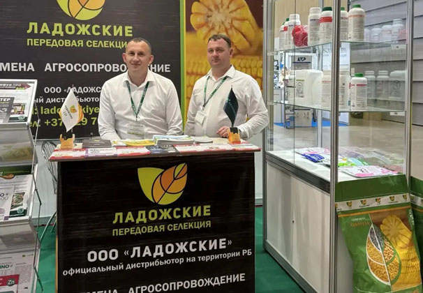 Гибриды «Ладожские» укрепляют позиции на рынке Беларуси